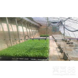 温室大棚喷水施肥育苗喷灌机喷水车 技术解析与厂价直销优势